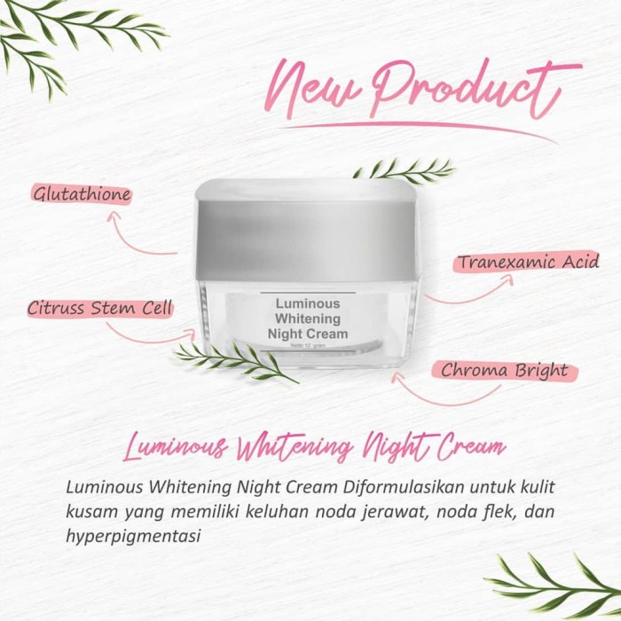 Cek Ingredients Ms Glow Luminous Whitening Night Cream terbaru
