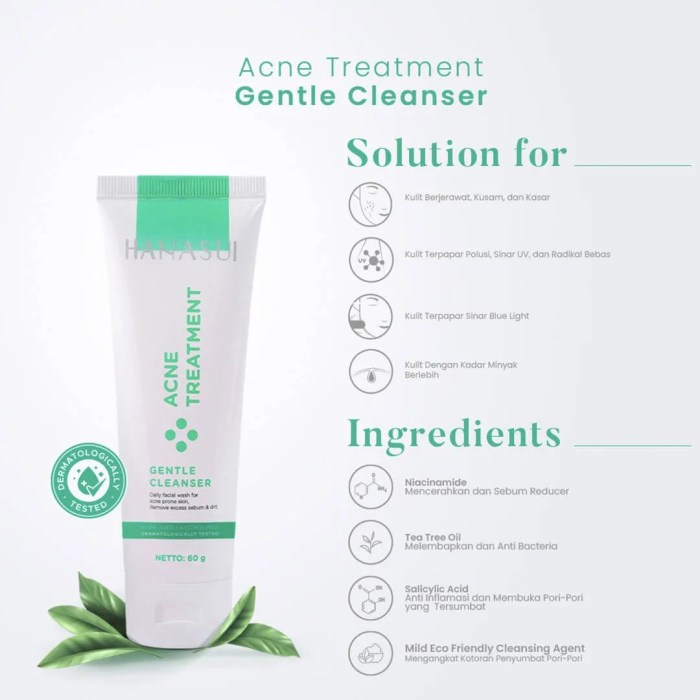 Cek Ingredients Hanasui Acne Treatment Gentle Cleanser