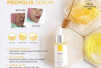 Mengulas Ingredients Hanasui Propolis Serum terbaru