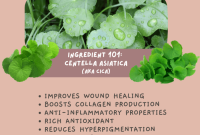 Cek Ingredients Calys Centella Asiatica + Ceramide Moisturizer and Soothing Cream terbaru