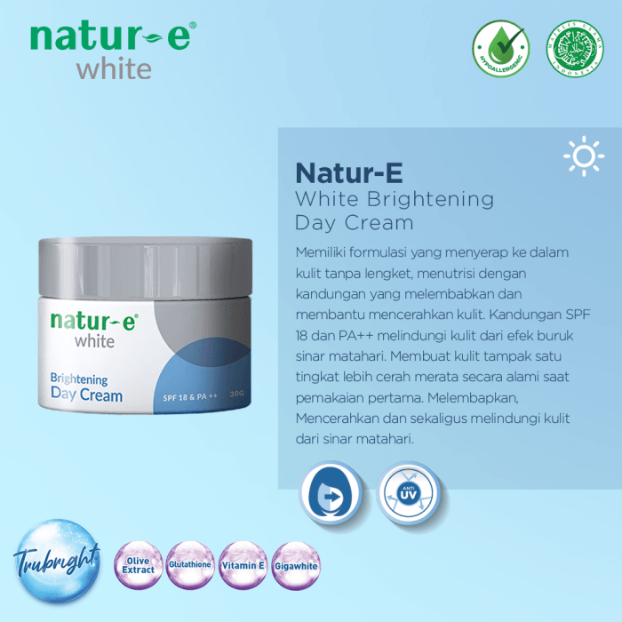 Cek Ingredients Natur E White Brightening Day Cream terbaru