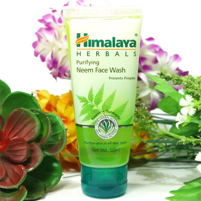 Review: Ingredients Himalaya Purifying Neem Face Wash terbaru