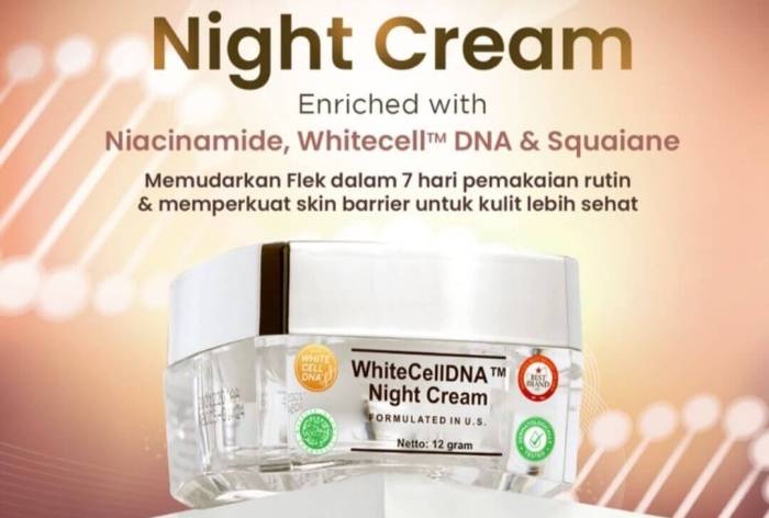 Cek Ingredients Ms Glow WhiteCellDNA Night Cream