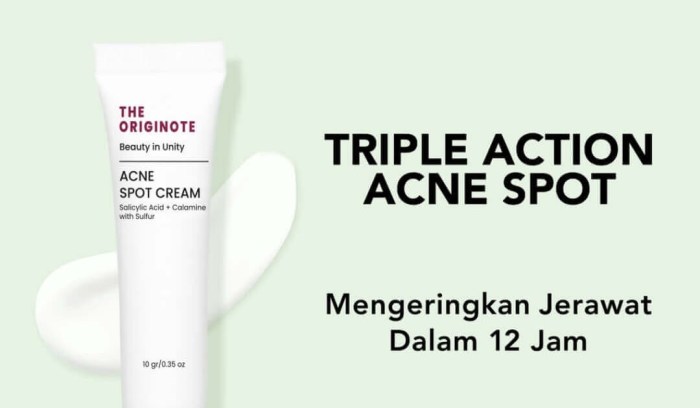 Cek Ingredients The Originote Acne Spot Cream