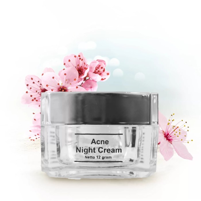 Cek Ingredients Ms Glow Acne Night Cream