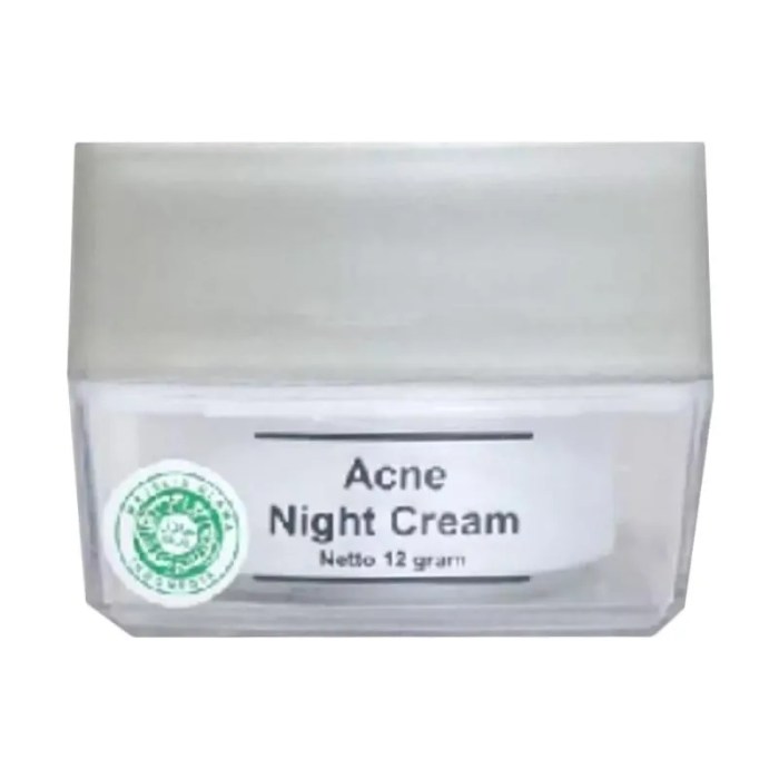 Cek Ingredients Ms Glow Acne Night Cream terbaru