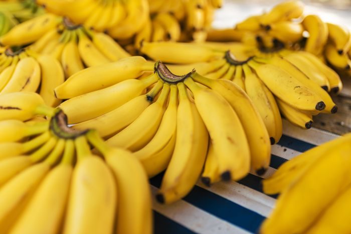 Buah pisang baik dikonsumsi penderita asam urat. Pisang mengandung serat yang tinggi.