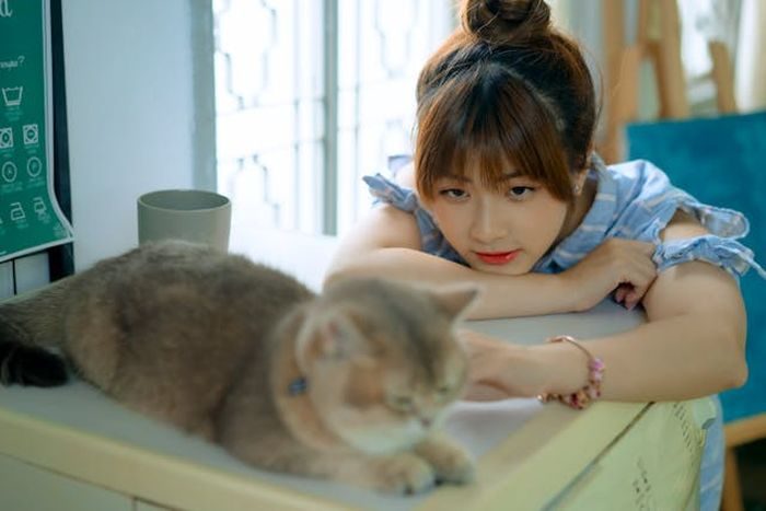 Kucing yang selalu mengikuti ke mana pun kamu pergi di dalam rumah sedang menunjukkan bahwa ia ingin terus dekat denganmu. Kucing yang selalu mengikuti ke mana pun kamu pergi di dalam rumah sedang menunjukkan bahwa ia ingin terus dekat denganmu.