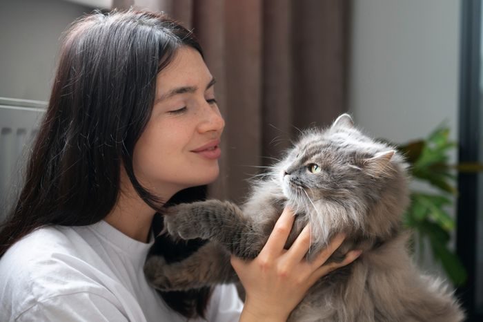 Tanda kucing mencintai pemiliknya adalah menempelkan kepalanya ke tubuh atau wajah pemiliknya Tanda kucing mencintai pemiliknya adalah menempelkan kepalanya ke tubuh atau wajah pemiliknya