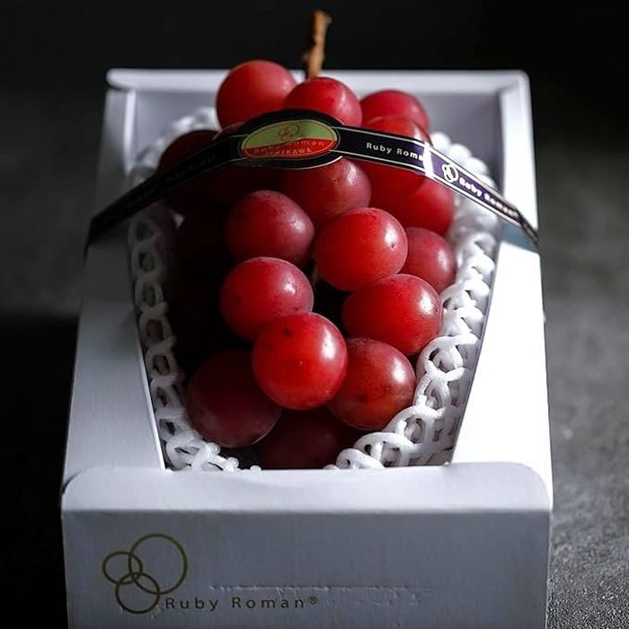 Buah termahal di dunia. Anggur Ruby Roman dari Jepang menjadi buah anggur termahal di dunia
