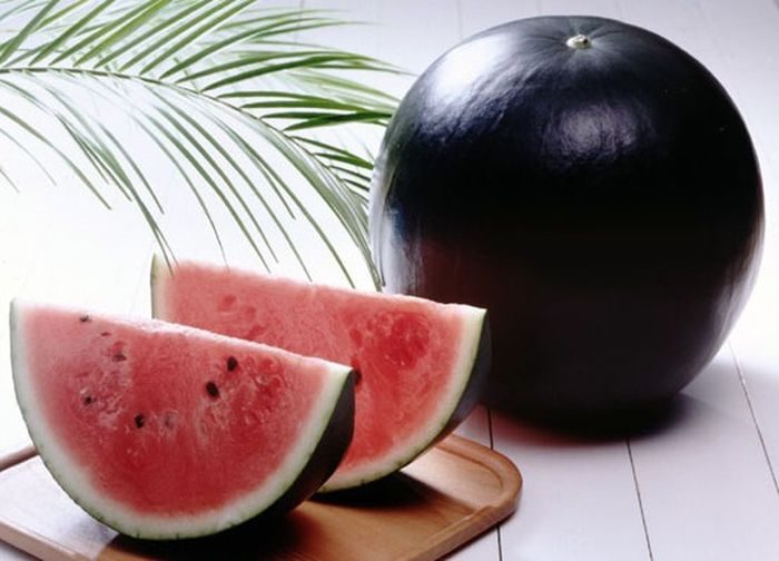 Buah termahal di dunia. Semangka Densuke, buah paling langka dan mewah di dunia dari Hokkaido Jepang
