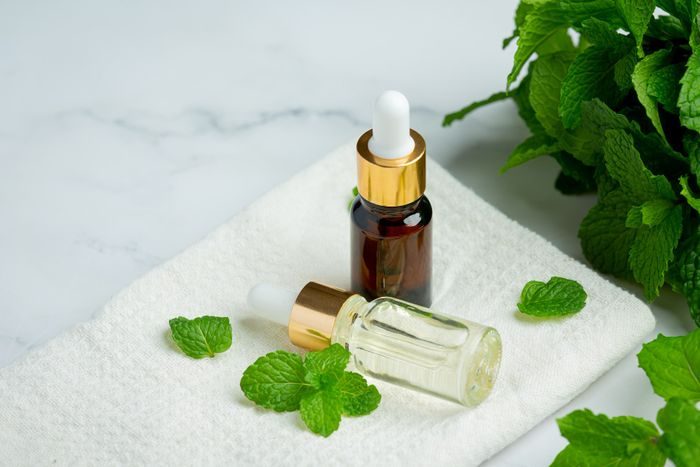Bau peppermint termasuk bau yang dibenci oleh kecoak.