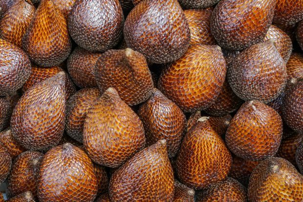 Salak merupakan buah langka dari Asia asal Indonesia dengan kulit unik seperti ular dan rasa manis segar.