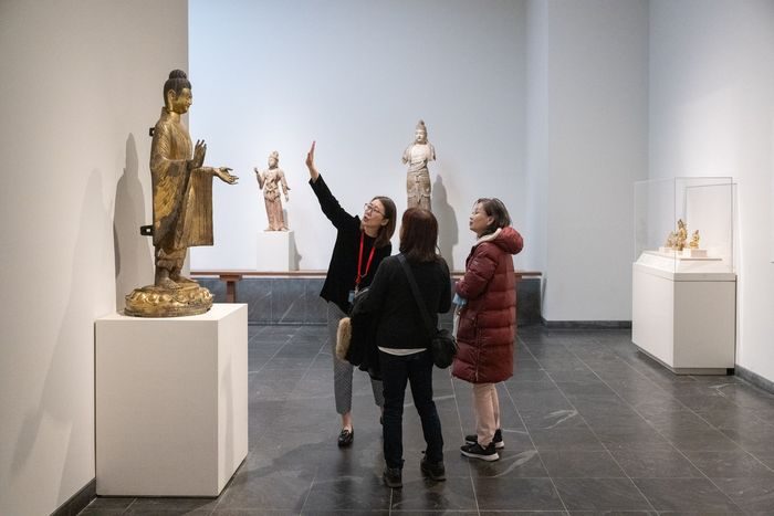 The Met memiliki bangunan utama di Fifth Avenue. Selain itu The Met Cloisters menjadi cabang museum lainnya