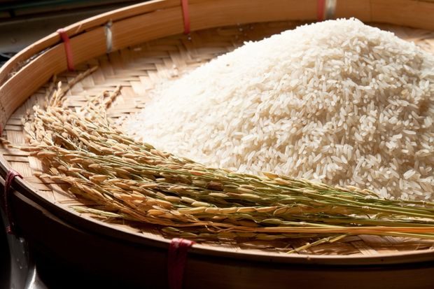 Beras putih termasuk makanan yang aman disimpan jangka panjang karena minim minyak alami dan tidak mudah tengik.