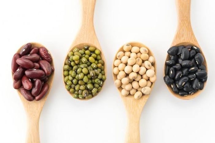 Kacang-Kacangan