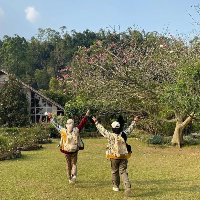 Kebun Mawar Situhapa