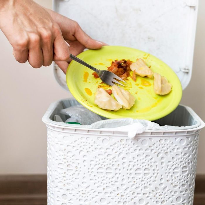 Sederet cara mengusir biawak yang masuk rumah saat musim hujan. Jaga kebersihan rumah dari sisa makanan dan sampah. Sampah makanan tersebut dapat mengundang sejumlah hewan mendekat, termasuk biawak.