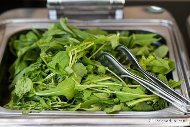 Manfaat bayam untuk membantu mencegah penyakit kronis/Foto: Pexels.com/Engin Akyurt Manfaat bayam untuk tubuh berasal dari kandungan antioksidan yang membantu melindungi sel tubuh dan mengurangi risiko penyakit kronis.
