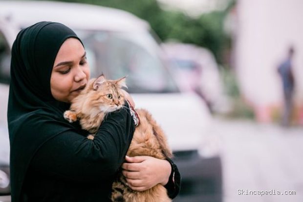Hewan peliharaan seperti kucing dan anjing dapat menjadi pemicu asma karena bulu, air liur, dan serpihan kulitnya mudah menyebar di udara.
