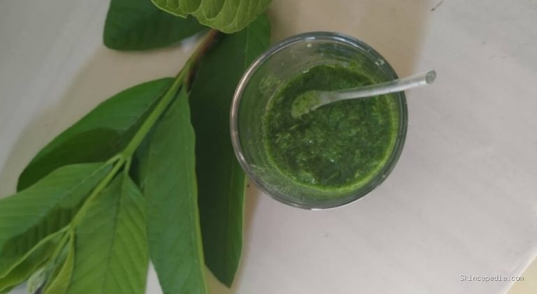 Cara Membuat Masker Daun Jambu Biji: Ulasan Lengkap