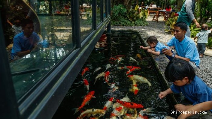 Di tengah padatnya kawasan perkotaan Bekasi, terdapat sebuah kafe bernuansa alam yang belakangan menjadi favorit warga untuk bersantai bersama keluarga. Berlokasi di kawasan Jatimurni, Pondok Melati, tempat bernama Susy Garden ini menawarkan pengalaman nongkrong berbeda dengan suasana hijau, udara teduh, serta konsep taman terbuka yang nyaman. Di tengah padatnya kawasan perkotaan Bekasi, terdapat sebuah kafe bernuansa alam yang belakangan menjadi favorit warga untuk bersantai bersama keluarga. Berlokasi di kawasan Jatimurni, Pondok Melati, tempat bernama Susy Garden ini menawarkan pengalaman nongkrong berbeda dengan suasana hijau, udara teduh, serta konsep taman terbuka yang nyaman.