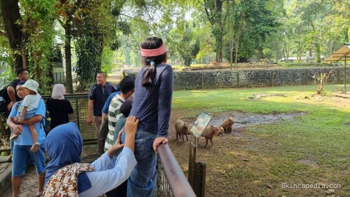 Suasana Ragunan saat libur panjang, Jumat (15/5/2026). Suasana Ragunan saat libur panjang, Jumat (15/5/2026).