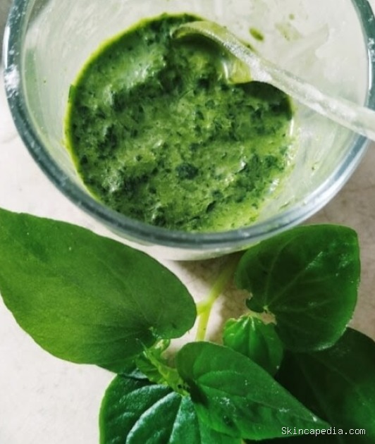 Manfaat Sirih Cina untuk Jerawat: DIY Masker Alami
