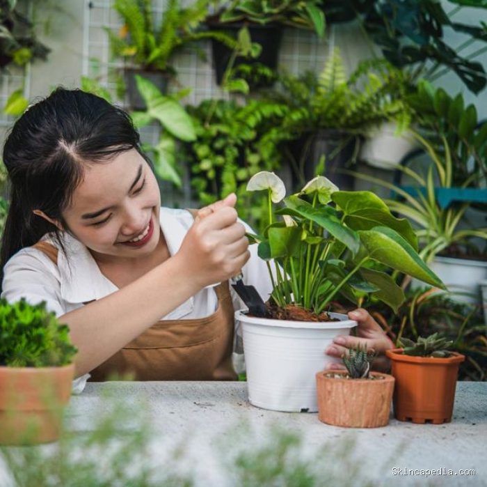 Berkebun juga bisa menjadi opsi hobi untuk INFJ menyalurkan ide dan imajinasi mendalamnya di belakang rumah/Foto: Freepik/Jcomp