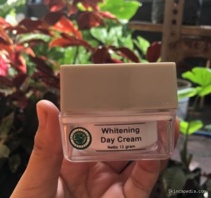 MS Glow Whitening Day Cream: Cek Kandungan & Manfaatnya