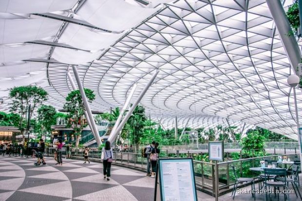 Bandara Changi menyediakan program tur kota gratis untuk penumpang transit dengan pilihan wisata kota modern, heritage, hingga kawasan sekitar Changi.