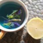 Science Non-Fiction Bunga Telang: Keajaiban Ilmiah di Balik Warna Biru Alami