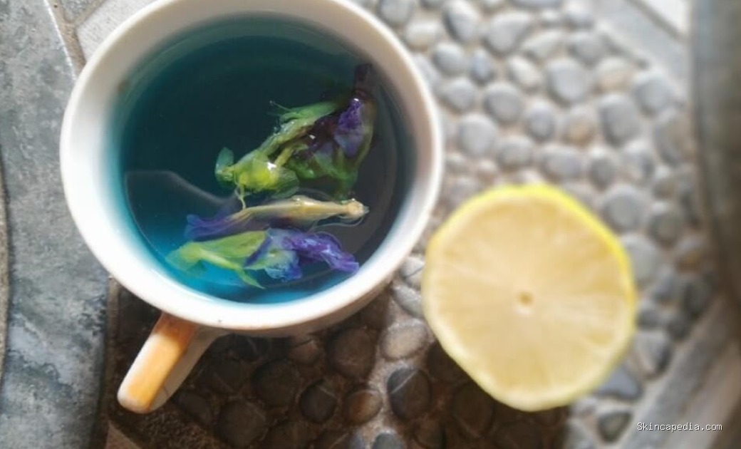 Science Non-Fiction Bunga Telang: Keajaiban Ilmiah di Balik Warna Biru Alami