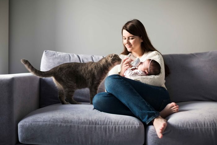 Adalah hal umum ketika ada bayi baru lahir, semua perhatian tertuju padanya. Ternyata, hal ini bisa membuat kucing peliharaan jadi cemburu. Ini membuat mereka merasa tersisih. Adalah hal umum ketika ada bayi baru lahir, semua perhatian tertuju padanya. Ternyata, hal ini bisa membuat kucing peliharaan jadi cemburu. Ini membuat mereka merasa tersisih.