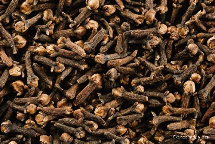 Cengkeh dapat membantu secara tidak langsung meningkatkan pertumbuhan rambut dengan meningkatkan sirkulasi kulit kepala. Hal ini karena kandungan vitamin K dalam cengkeh. Cengkeh dapat membantu secara tidak langsung meningkatkan pertumbuhan rambut dengan meningkatkan sirkulasi kulit kepala. Hal ini karena kandungan vitamin K dalam cengkeh.