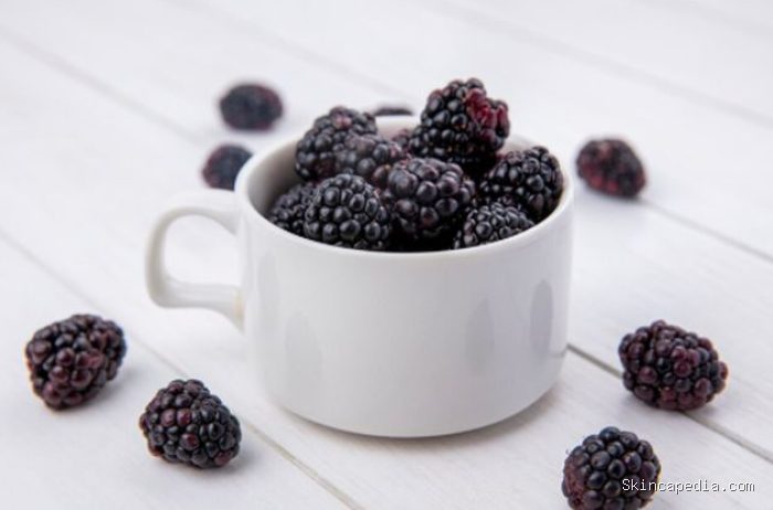 Blackberry kaya antioksidan yang baik untuk kesehatan otak/ Foto: magnific.com/stockking Blackberry kaya antioksidan yang baik untuk kesehatan otak/ Foto: magnific.com/stockking