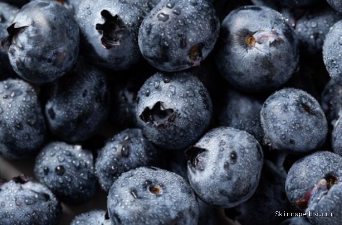 Blueberry menempati urutan pertama karena kaya antosianin yang bermanfaat bagi kesehatan jantung dan otak. Kandungan vitaminnya juga membuat buah ini menjadi pilihan camilan yang sangat bergizi./ Foto: magnific.com/wirestock Blueberry menempati urutan pertama karena kaya antosianin yang bermanfaat bagi kesehatan jantung dan otak. Kandungan vitaminnya juga membuat buah ini menjadi pilihan camilan yang sangat bergizi./ Foto: magnific.com/wirestock