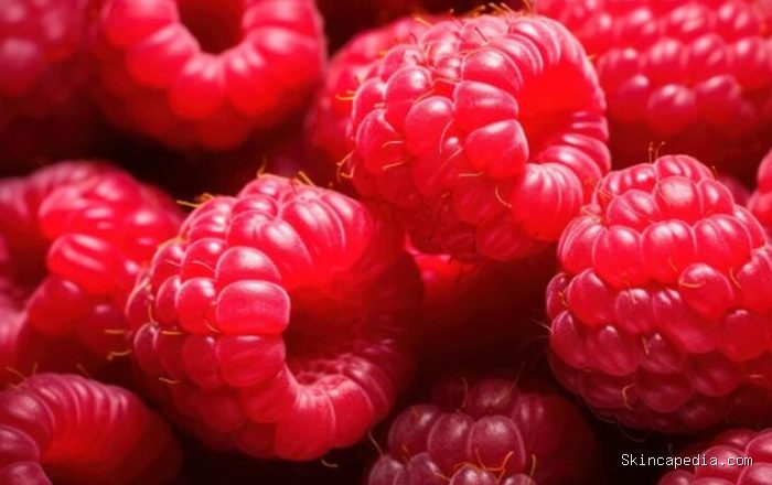 Raspberry memiliki kandungan serat paling tinggi dibandingkan jenis berry lainnya. Buah ini juga kaya vitamin C, mangan, dan senyawa yang mendukung kesehatan usus./ Foto: magnific.com/rorozoa Raspberry memiliki kandungan serat paling tinggi dibandingkan jenis berry lainnya. Buah ini juga kaya vitamin C, mangan, dan senyawa yang mendukung kesehatan usus./ Foto: magnific.com/rorozoa