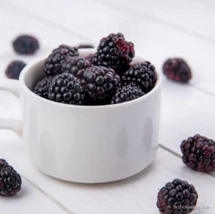 Blackberry mengandung berbagai antioksidan yang membantu melindungi tubuh dari stres oksidatif. Beberapa penelitian juga mengaitkannya dengan kesehatan otak seiring bertambahnya usia./ Foto: magnific.com/stockking Blackberry mengandung berbagai antioksidan yang membantu melindungi tubuh dari stres oksidatif. Beberapa penelitian juga mengaitkannya dengan kesehatan otak seiring bertambahnya usia./ Foto: magnific.com/stockking