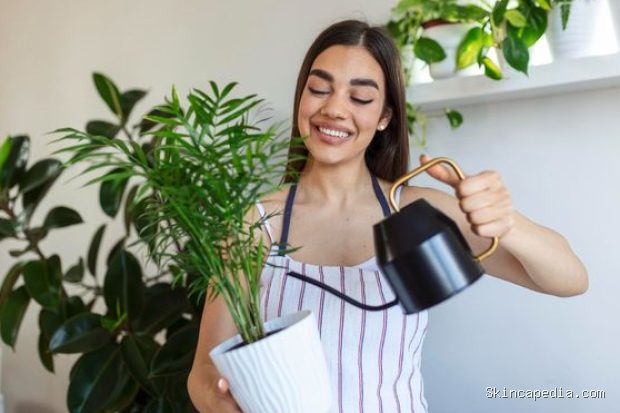 Rumah bebas stres bisa dimulai dari hal sederhana, seperti menambahkan tanaman hias di dalam rumah/Foto: Magnific/stefamerpik Rumah bebas stres bisa dimulai dari hal sederhana, seperti menambahkan tanaman hias di dalam rumah. Kehadiran unsur alami membantu menciptakan suasana yang lebih rileks sekaligus memperbaiki mood setelah menjalani aktivitas seharian. Tidak harus memilih tanaman yang sulit dirawat karena banyak pilihan yang tetap tumbuh baik dengan perawatan minimal.