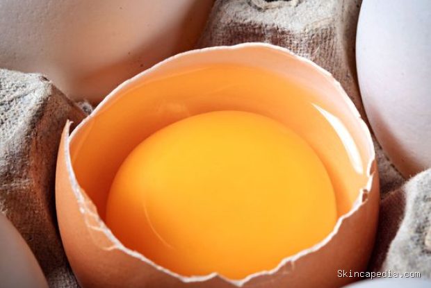 Telur bisa membantu mengurangi rambut rontok