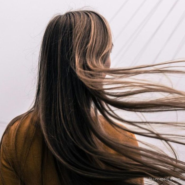 5 Tips Perawatan Rambut Kering agar Kembali Lembap 5 Tips Perawatan Rambut Kering agar Kembali Lembap
