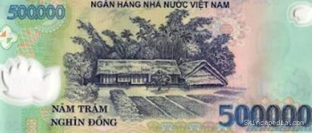 Dong Vietnam, mata uang terlemah terhadap dolar AS 2026/Foto: Dok. Banknote World Perlambatan ekspor dan kondisi ekonomi global menjadi faktor yang memengaruhi nilai tukar dong Vietnam terhadap dolar AS.