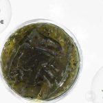 Acnaway Niacinamide + Mugwort Gel Mask: Rahasia Kulit Cerah!
