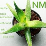 Aloevera Gel: 5 Manfaat Mengejutkan & Cara Pakai