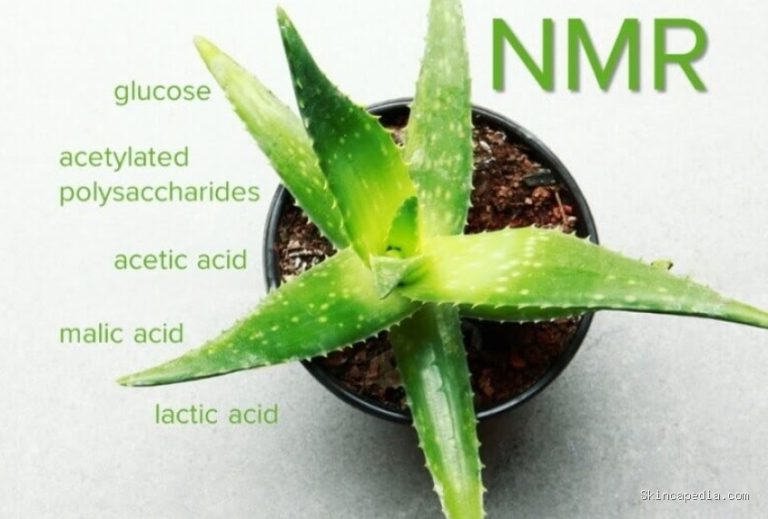Aloevera Gel: 5 Manfaat Mengejutkan & Cara Pakai