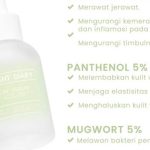 Bright Diary Acne Serum 2.0: 2% Salicylic Acid, 5% Panthenol, 5% Mugwort