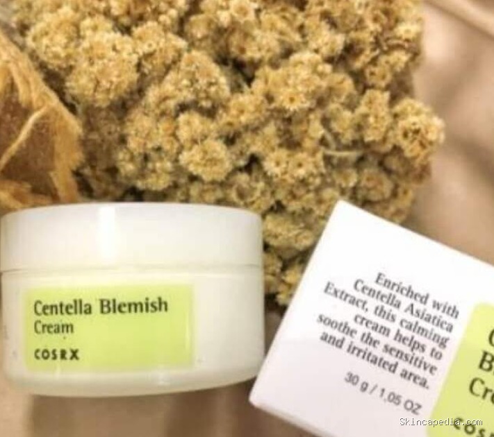 Cosrx Centella Blemish Cream: Cek Ingredients Rahasianya!
