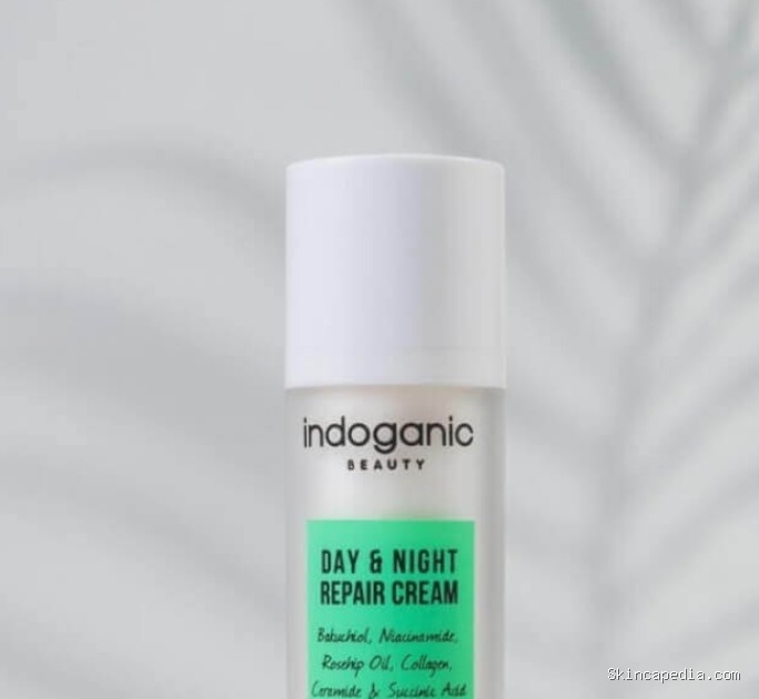 Indoganic Day & Night Repair Cream: Ingredients Rahasia Awet Muda