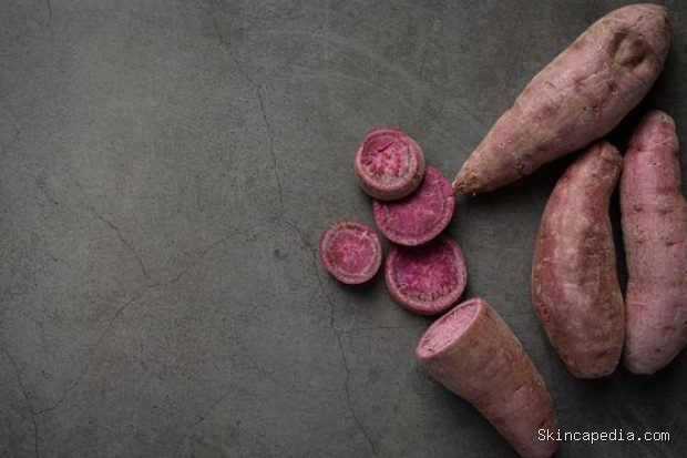 Kandungan nutrisi pada ube/Foto: Magnific.com/jcomp Umbi berwarna ungu ini mengandung berbagai nutrisi penting dan antioksidan yang baik untuk kesehatan.